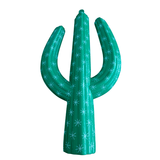 Cactus decor 