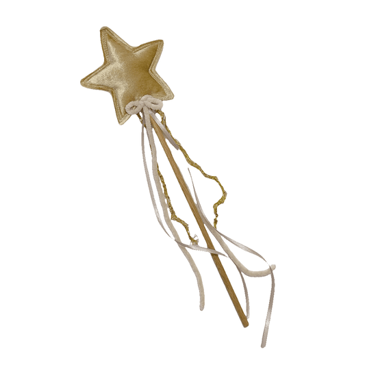 Gold Velvet Star Wand Must Love Party