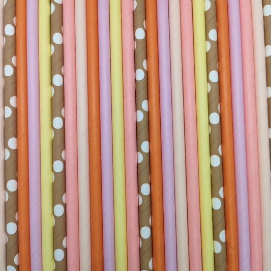 Pop of Colour - Retro Paper Straws