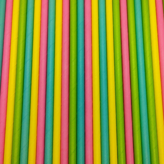 Pastel Brights Straws Must Love Party 