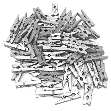 Mini Silver Pegs