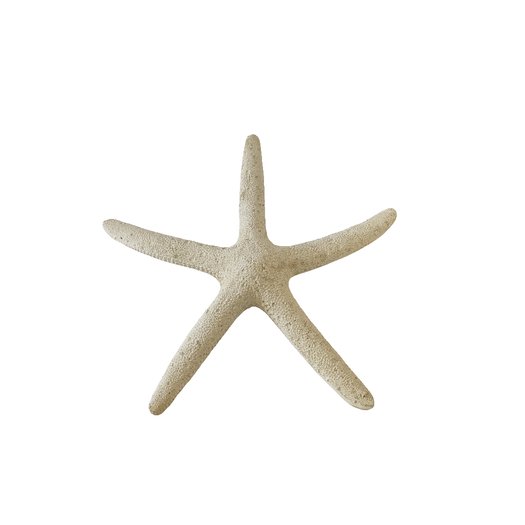 White Resin Pencil Finger Starfish