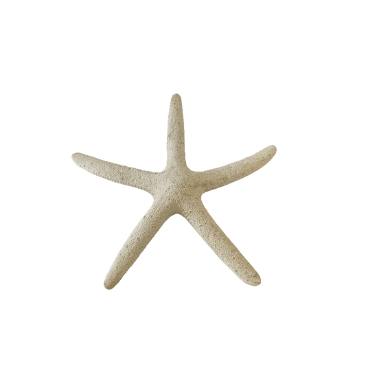 White Resin Pencil Finger Starfish - Must Love Party