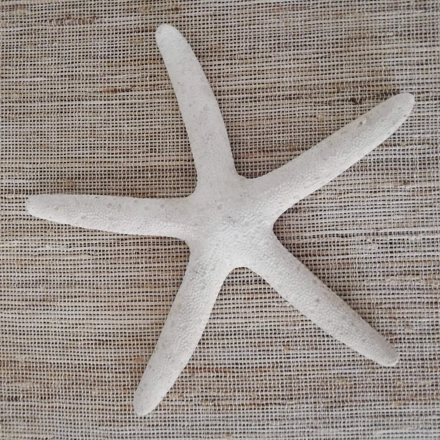 White Resin Pencil Finger Starfish