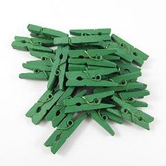Mini Green Pegs - Must Love Party