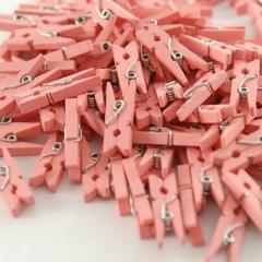 Mini Pink Pegs - Must Love Party